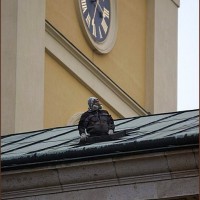 87155718 2779782112102480 3281705431935746048 n